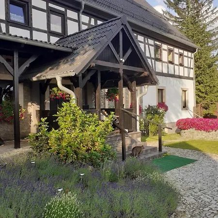 Lysa Gora 옐레니아구라