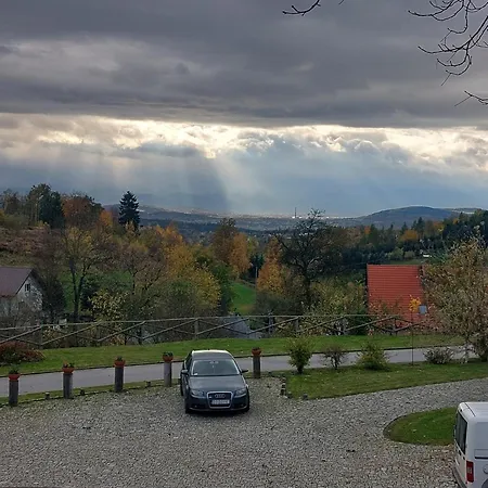 Lysa Gora *