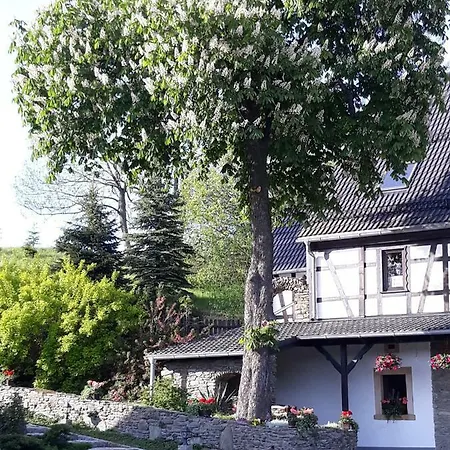 łysa Góra *