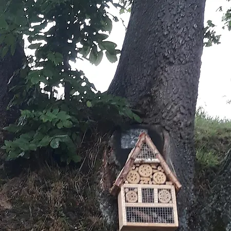 Lysa Gora 팜스테이 *