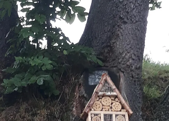 Lysa Gora בית חווה *